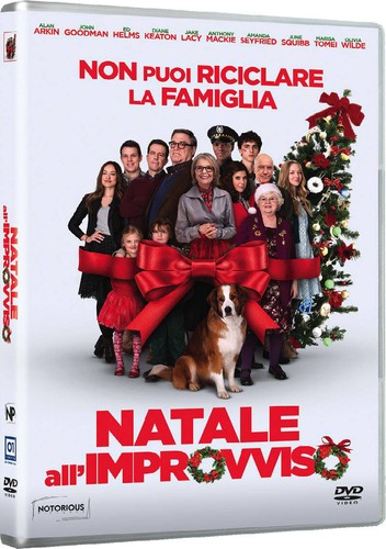 Natale all improvviso dvd - natale, all'improvviso