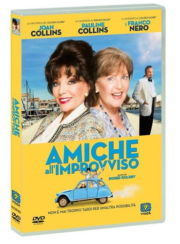Amiche all improvviso roger - amiche, all'improvviso
